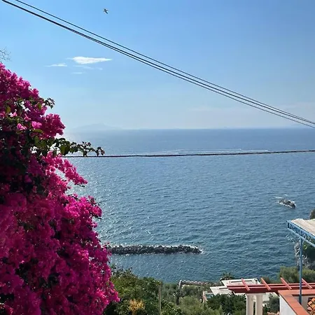 La Rosa Dei Venti * Massa Lubrense