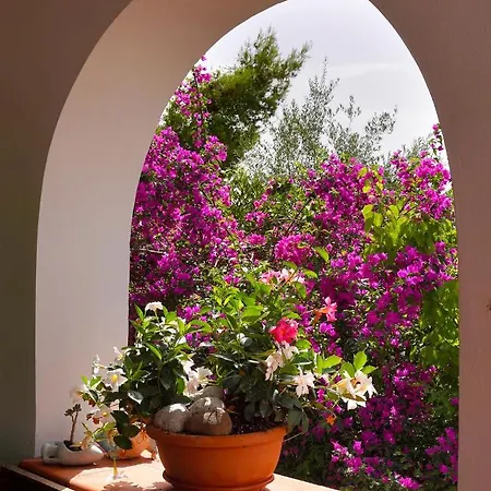 La Rosa Dei Venti